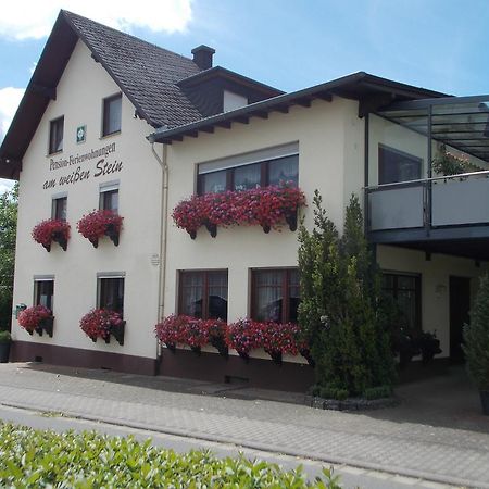 Gaestehaus "Am Weissen Stein" Cochem Luaran gambar